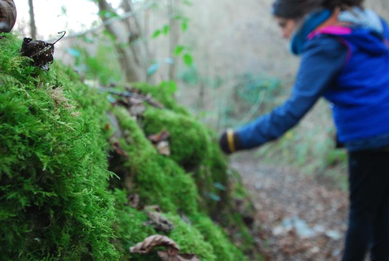 Irene gathering moss in the forset for our resin jewelry