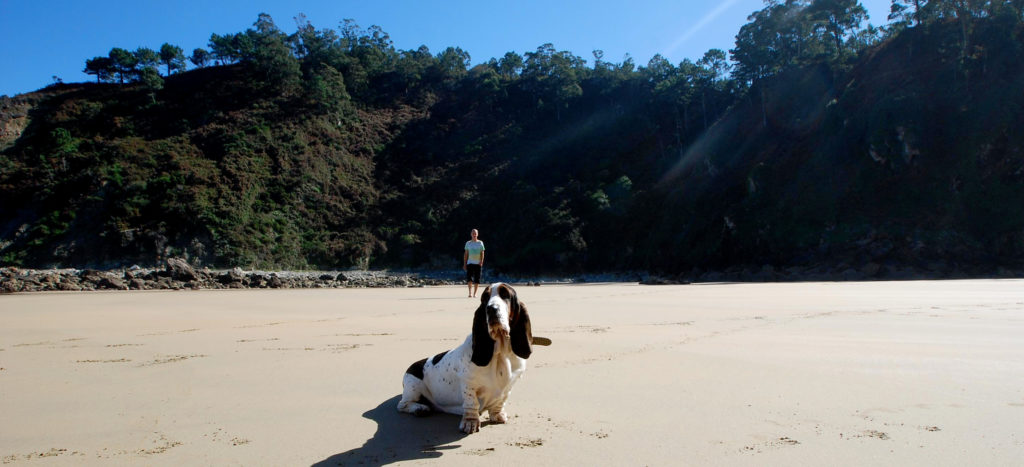 me the store owner with my dog basset hound on the beach