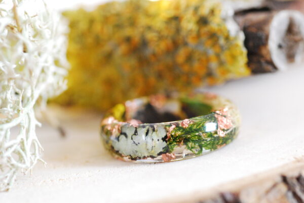 green foresty ring with moss and various types of lichens