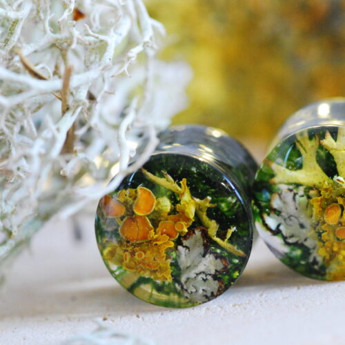 gauges filled with orange lichen and green moss