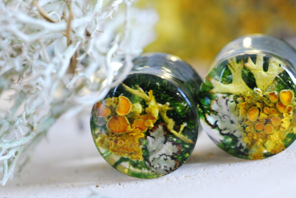 Resin ear plugs made with orange lichen and green moss