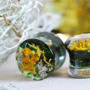 ear gauges made with orange lichen