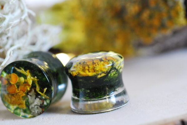 Resin ear plugs made with orange lichen and green moss