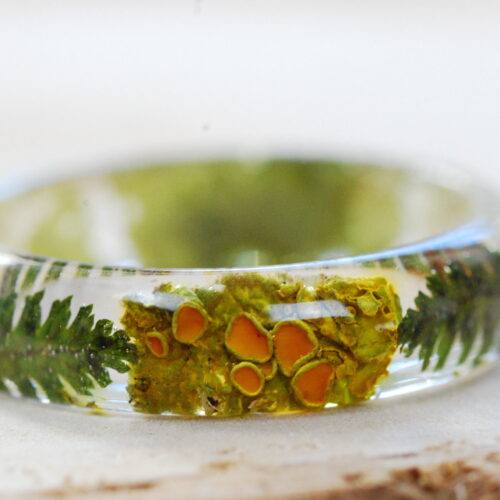 close up of Orange lichen and ferns natural ring