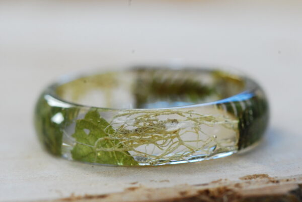 back side of Orange lichen and ferns ring with leaves and beard lichen