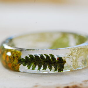fern close up in Orange lichen ring with leaves and beard lichen