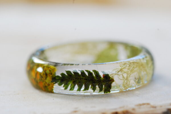 fern close up in Orange lichen ring with leaves and beard lichen