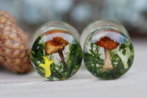Real wild mushroom ear plugs with moss and lichen from forest