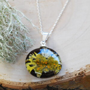 overview of enchanted forest panorama necklace