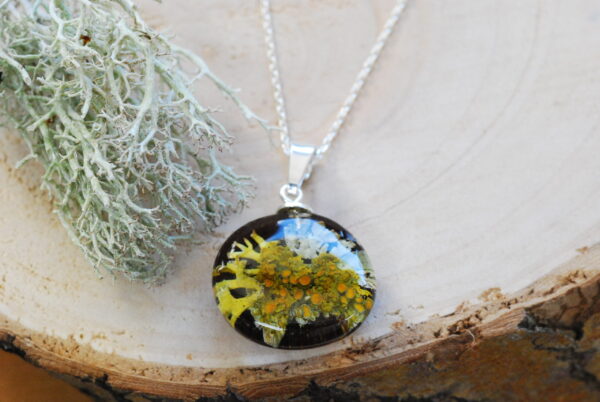 overview of enchanted forest panorama necklace