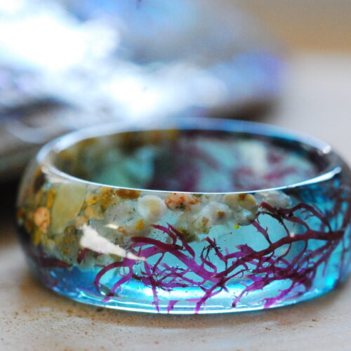 close up of marmaid blue sea algae ring