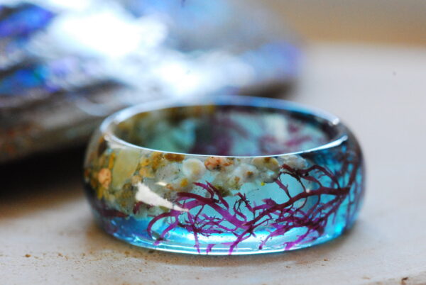 close up of marmaid blue sea algae ring