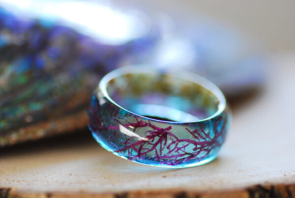 ocean landscape ring with algae and sand