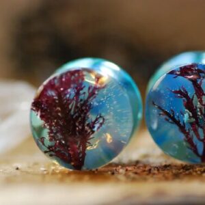 beautiful turquoise oceanic with algae and opalite ear plugs