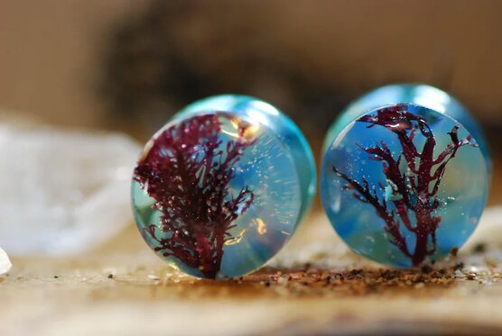 beautiful turquoise oceanic with algae and opalite ear plugs