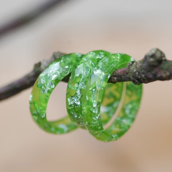 green lime rings hanging on branch