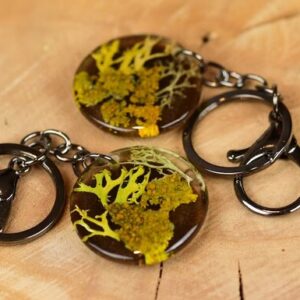 two original key rings with orange yellow lichen