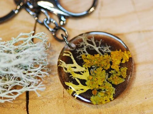 fantastic forms of natural lichen in key chain