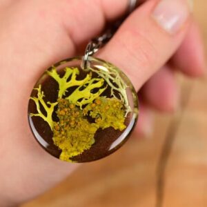 compare size of unique key chain with lichens