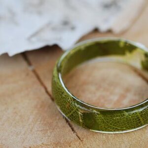 oak tree leaf green ring