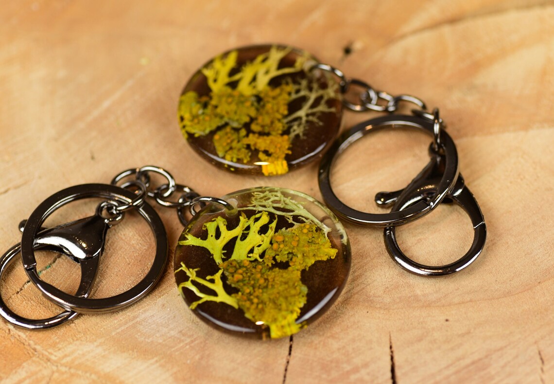 two original key rings with orange yellow lichen