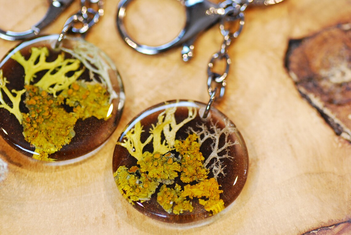 mens gift orange yellow lichen key chain