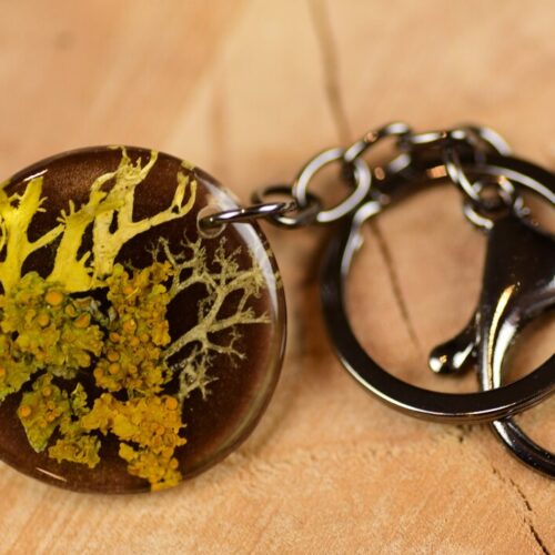 yellow and orange lichen forest keychain