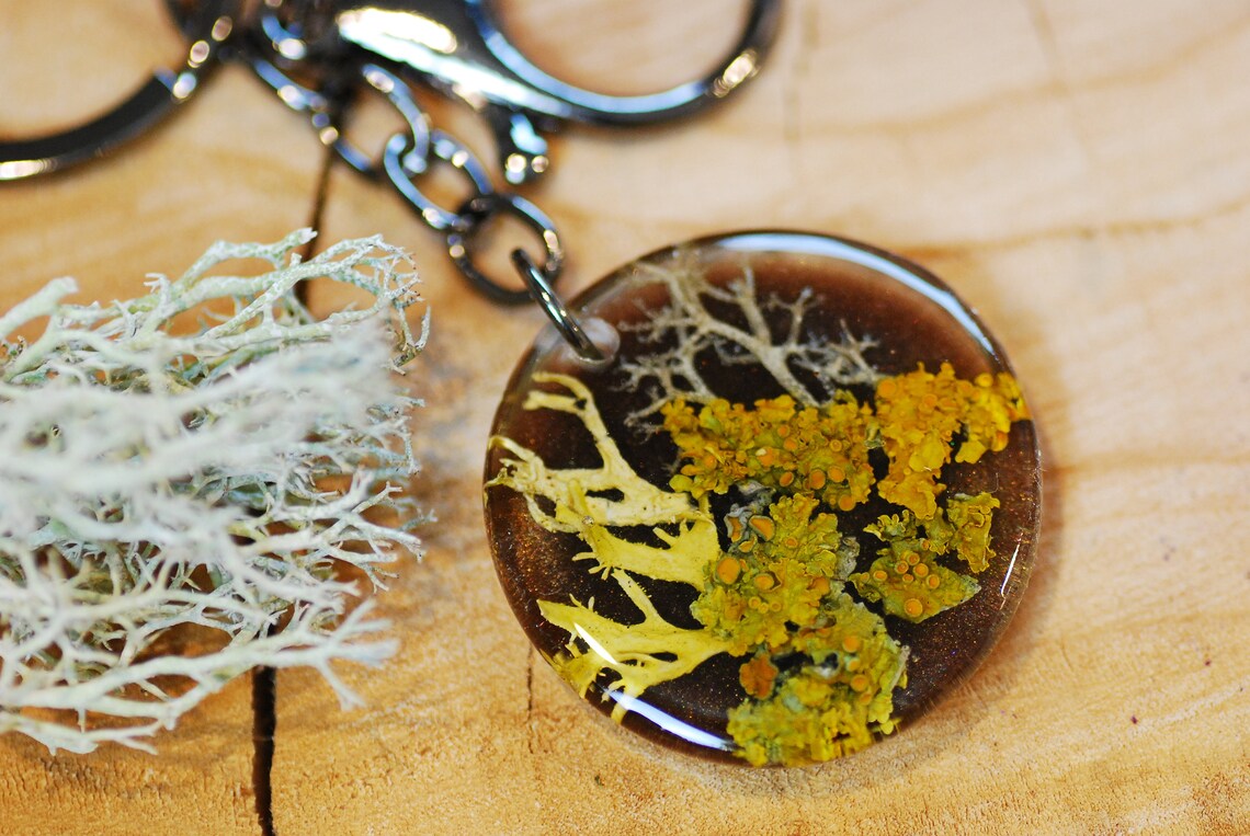 fantastic forms of natural lichen in forest keychain