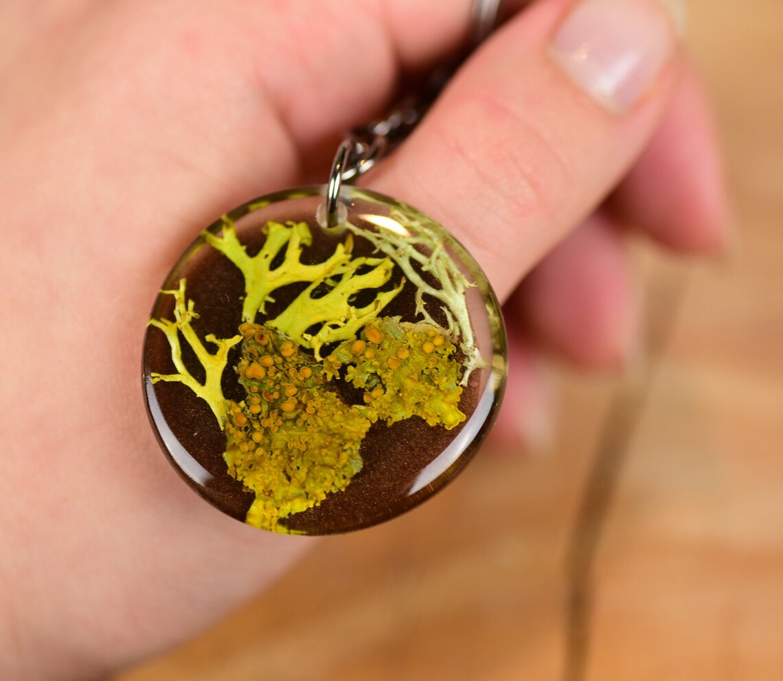 compare size of unique key chain with lichens