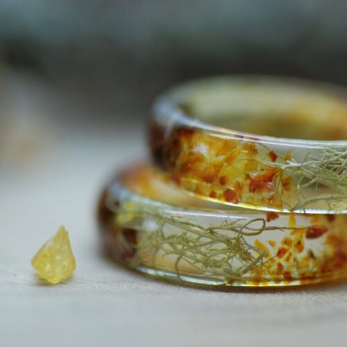 warm and cozy ring with amber lichen pine cones rings