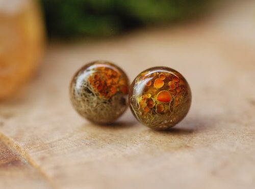 Forest Earrings made with lichens with silver post