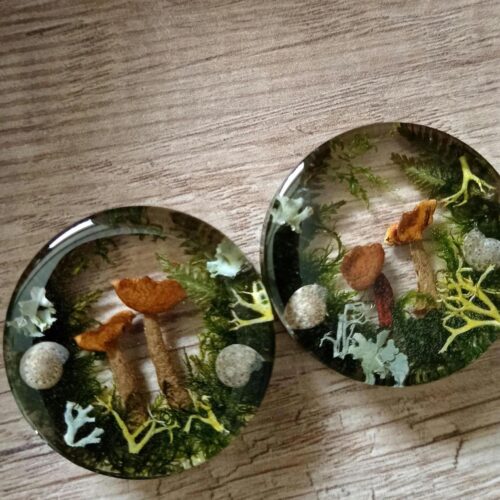 Real Mushroom Ear Plugs with Moss