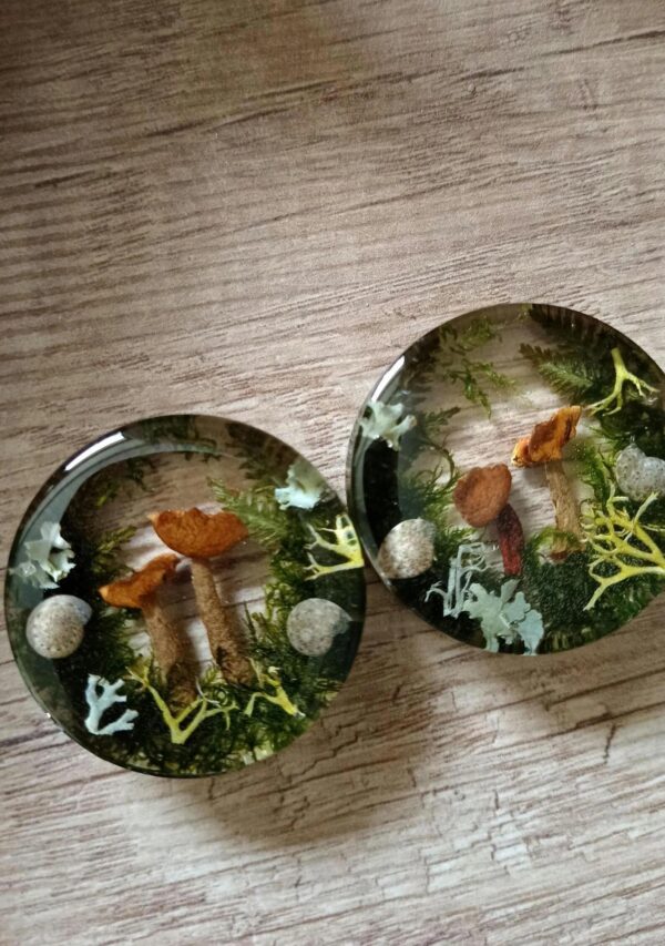 Real Mushroom Ear Plugs with Moss