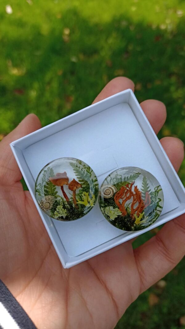 authentic shrooms ear gauges magic shrooms gift
