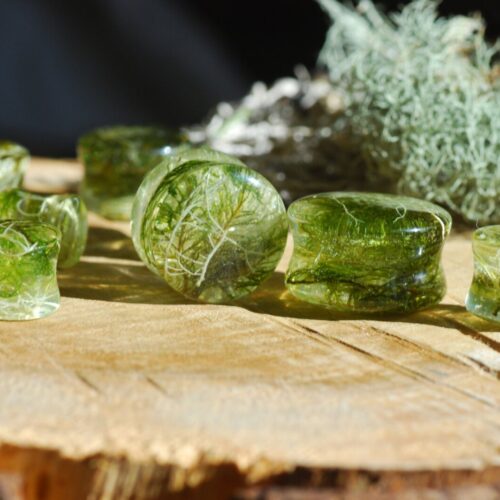 deep green gauges with moss and lichens